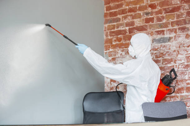 Mold Documentation for Insurance Claims in Jackpot, NV