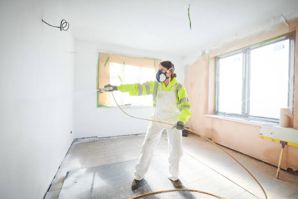 Best Environmental Consulting for Mold Prevention  in Jackpot, NV