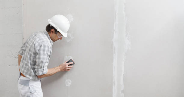 Best Emergency Mold Remediation  in Jackpot, NV